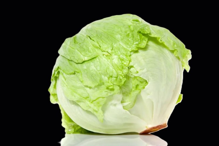 Iceberg Lettuce